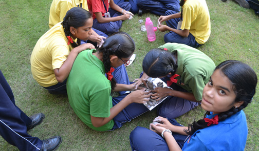 Making of Eco Friendly Statue of Lord Ganesha