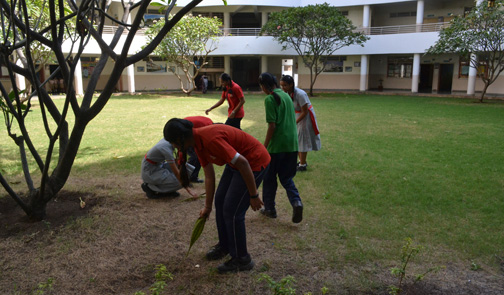 Gardening