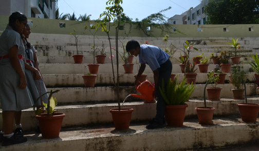 Gardening