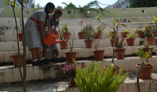 Gardening