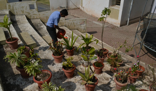 Gardening